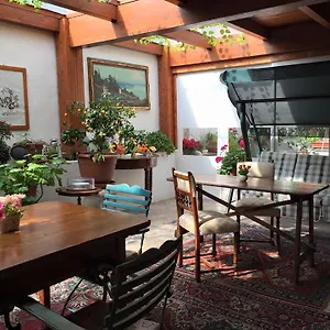 B&B Oz, Bari